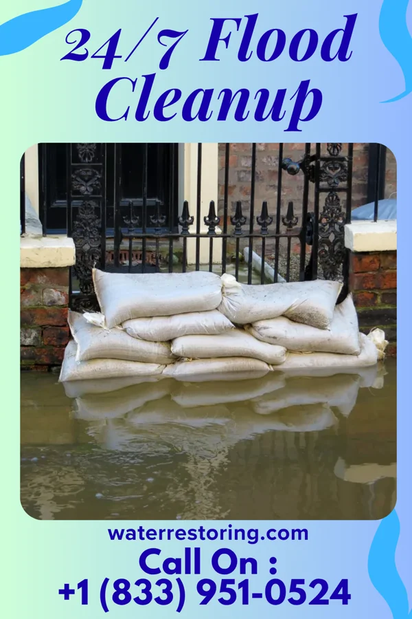 24/7 Flood Cleanup in Pleasant Hill, IL