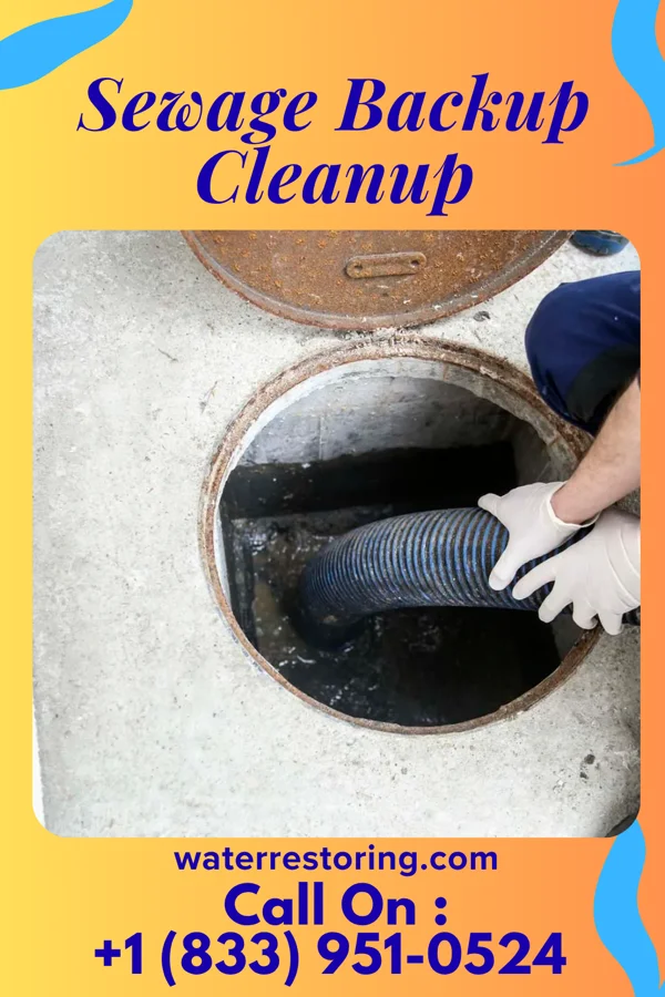 Sewage Backup Cleanup in Pleasant Hill, IL